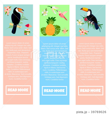 Set of banners with Hawaiian elements and toucans 39769026