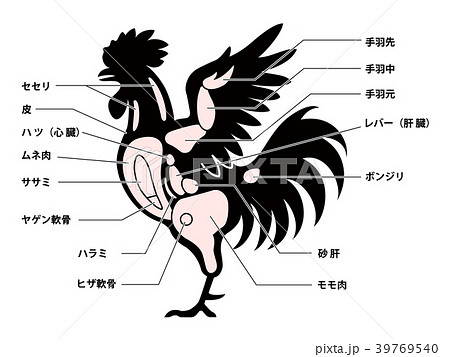 鶏肉　チキン　部位　白背景 39769540