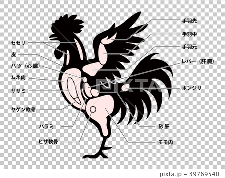 鶏肉　チキン　部位　白背景 39769540