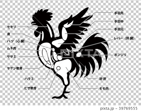 鶏肉　チキン　部位　白背景 39769555