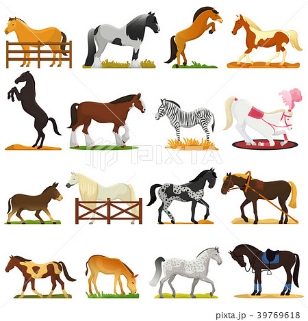 Cartoon horse vector cute animal of horse-breeding - Stock Illustration  [39769618] - PIXTA