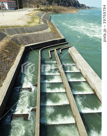頭首工には魚道が併設されます 39769764