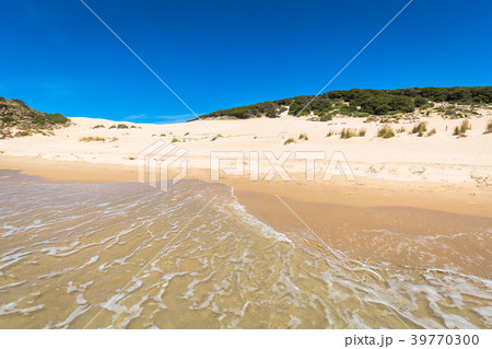 Sand dune of Bolonia beach, province Cadiz,  39770300