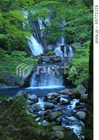 渓流 39772126