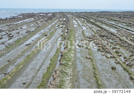鬼の洗濯岩（青島神社／宮崎県宮崎市青島） 39772149