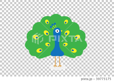 Peacock Peacock 39773175