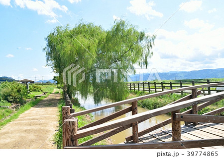 朝倉　三連水車付近 39774865