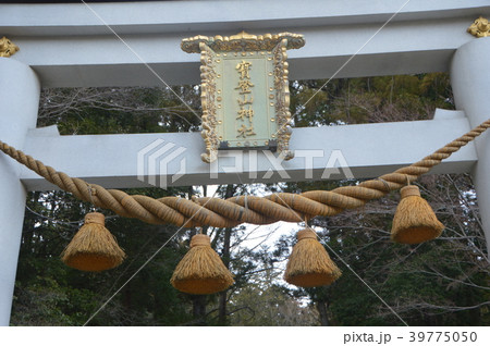宝登山神社の鳥居(埼玉県秩父郡長瀞町長瀞) 宝登山神社の鳥居(埼玉県秩父郡長瀞町長瀞) 39775050