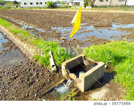 田起こしした水田に水張をします 39775066