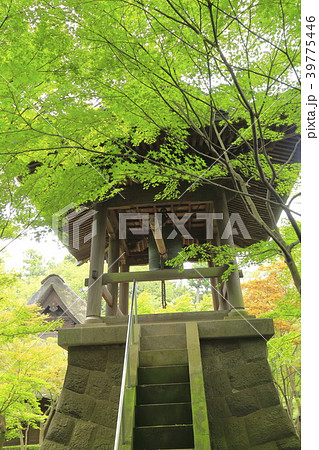 平林寺(へいりんじ)の鐘楼 埼玉県新座市 平林寺(へいりんじ)の鐘楼 埼玉県新座市 39775446