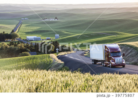 Commercial truck driving though wheat fields of eastern Washington, USA at sunset. Commercial truck driving though wheat fields of eastern Washington, USA at sunset. 39775807