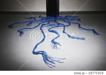 CAT 5 cables leading from a rack holding severs in a computer server farm. 39775929