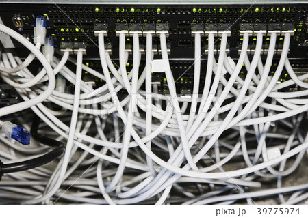 Cat 5 cables hooked to servers in a computer server farm. Cat 5 cables hooked to servers in a computer server farm. 39775974
