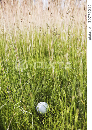 A golf ball sitting in heavy rough on a golf course. 39776019
