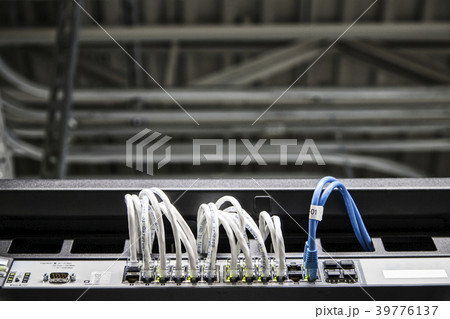 Cat 5 cables hooked to servers in a computer server farm. 39776137