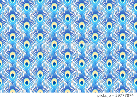 孔雀 孔雀 39777874