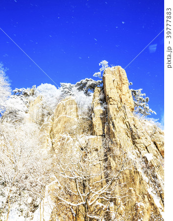 雪景色 青空 全北 39777883