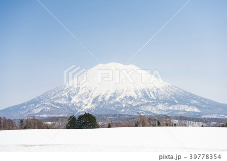 ニセコから見た羊蹄山 39778354