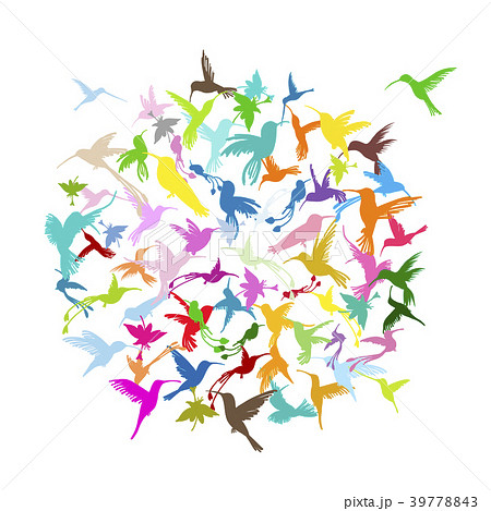 Colibri collection, sketch for your design 39778843