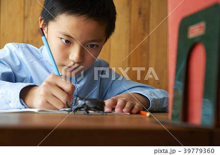 男の子とカブトムシ 39779360