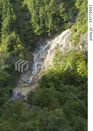 姥ヶ滝　白山白川郷ホワイトロード 39779981