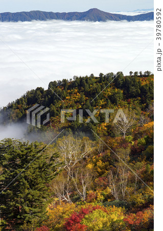 三方岩岳中腹からの紅葉と雲海 三方岩岳中腹からの紅葉と雲海 39780592