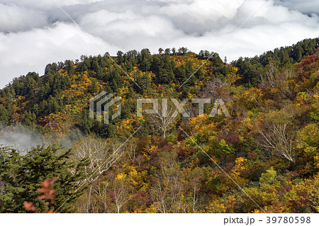 三方岩岳中腹からの紅葉と雲海 39780598
