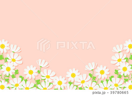 マトリカリア 39780665