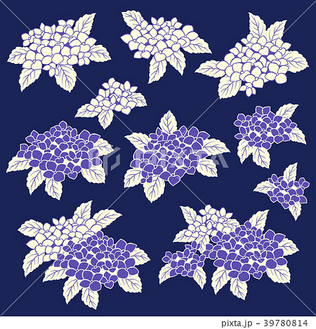 日本的なアジサイ, 日本的なアジサイ, 39780814