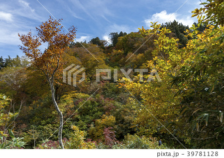 錦秋の山 錦秋の山 39781128