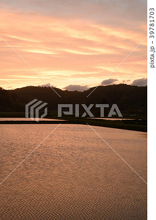 夕暮れ時の水田風景 夕暮れ時の水田風景 39781703