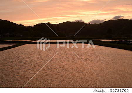 夕暮れ時の水田風景 夕暮れ時の水田風景 39781706