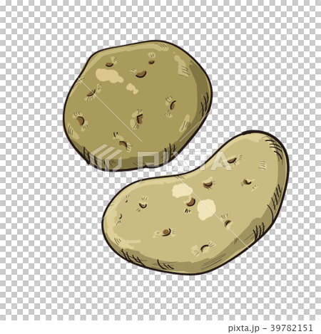 じゃがいも ベクターイラスト じゃがいも ベクターイラスト 39782151