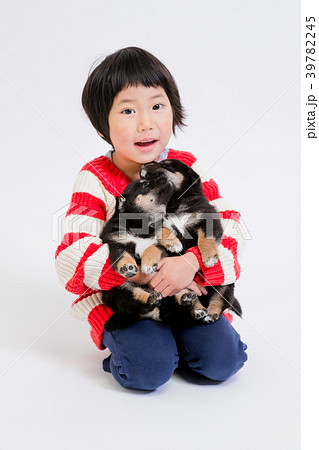 柴犬 柴犬 39782245