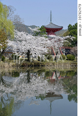 大沢池 心経宝塔の写真素材 [39782479] - PIXTA