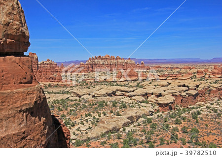 Needles District in Canyonlands National Park 39782510