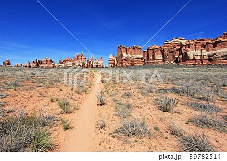 Needles District in Canyonlands National Park 39782514