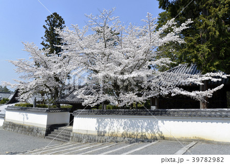 南禅寺　塔頭 39782982