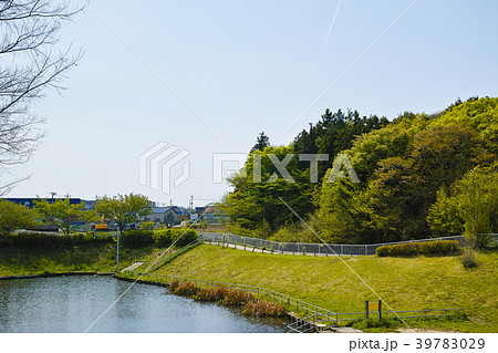 和泉川 宮沢遊水地 和泉川 宮沢遊水地 39783029