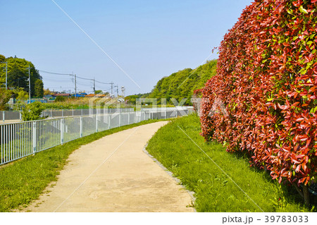 和泉川水緑のウォークの風景　宮前橋付近 39783033