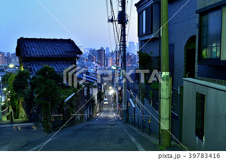 目白台の富士見坂と日無坂からの新宿のネオンとトワイライト 目白台の富士見坂と日無坂からの新宿のネオンとトワイライト 39783416