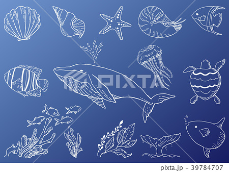 手書き風 海の生き物 線画セットのイラスト素材