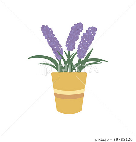Lavender in Flower Pot Icon 39785126