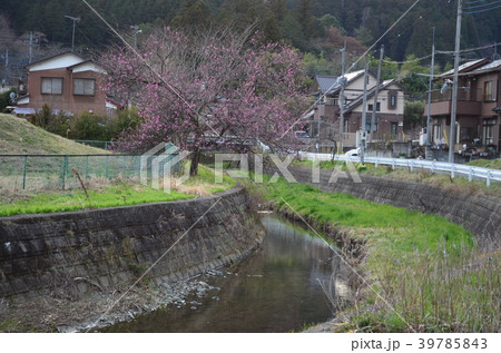 早春の山里 39785843