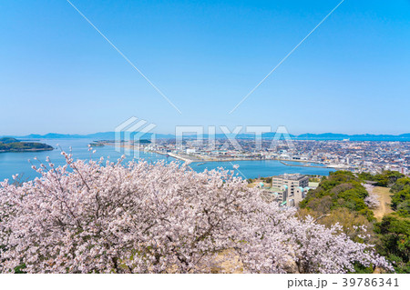 桜咲く春の米子城跡からの眺望　米子港周辺 39786341