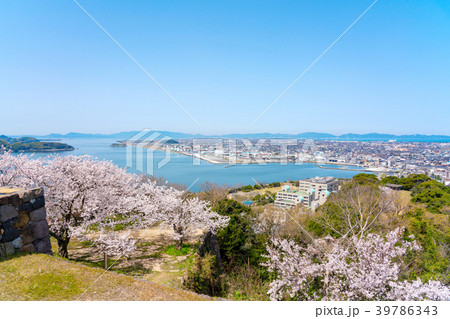 桜咲く春の米子城跡からの眺望　米子港周辺 39786343