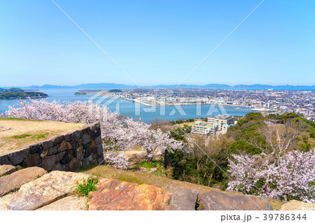 桜咲く春の米子城跡からの眺望　米子港周辺 39786344