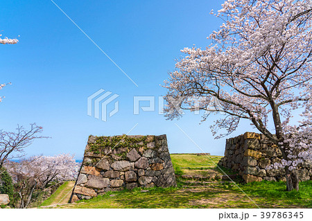 桜咲く春の米子城跡 桜咲く春の米子城跡 39786345