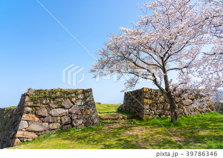 桜咲く春の米子城跡 桜咲く春の米子城跡 39786346