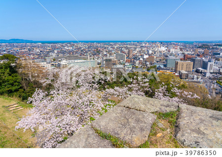 桜咲く春の米子城跡と米子市内と日本海 39786350